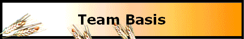 Team Basis